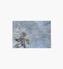 12.1.2017: Pine Tree in Blizzard Art Board