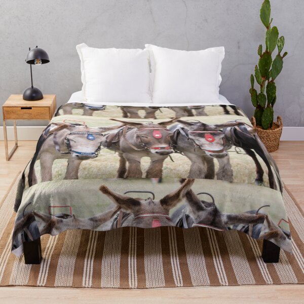 Item preview, Three Donkeys Lined Up Together designed and sold by Paul Thompson Photography.