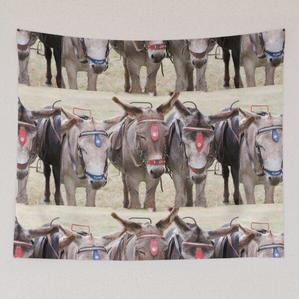 Item preview, Three Donkeys Lined Up Together designed and sold by Paul Thompson Photography.