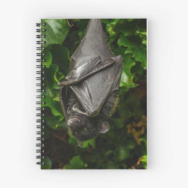 Item preview, Livingstone Fruit Bat designed and sold by Darren Wilkes.