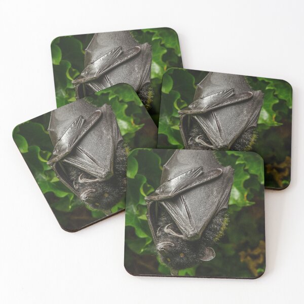 Item preview, Livingstone Fruit Bat designed and sold by Darren Wilkes.