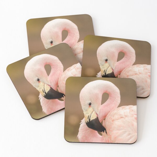 Item preview, Chilean Flamingo designed and sold by Darren Wilkes.