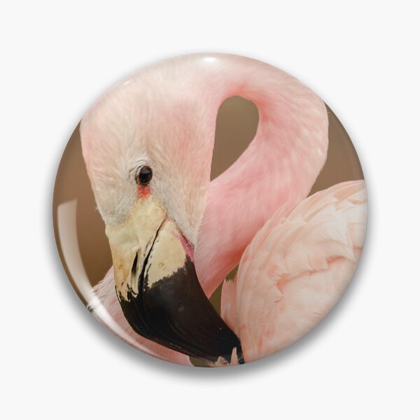 Item preview, Chilean Flamingo designed and sold by Darren Wilkes.