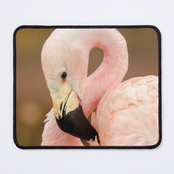 Item preview, Chilean Flamingo designed and sold by Darren Wilkes.