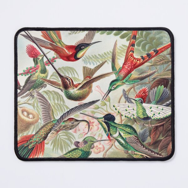 Item preview, Trochilidae-Kolibris de Kunstformen der Natur designed and sold by The-Lerach.