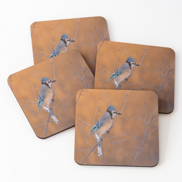Item preview, Blue Jay at Sunrise designed and sold by James Cumming.