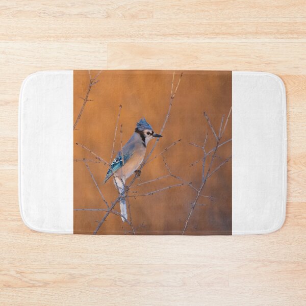 Item preview, Blue Jay at Sunrise designed and sold by James Cumming.