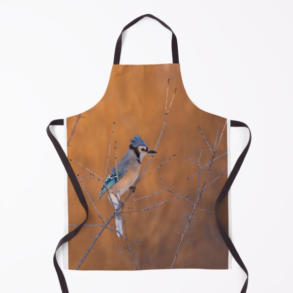 Item preview, Blue Jay at Sunrise designed and sold by James Cumming.
