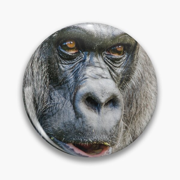 Item preview, Gorilla designed and sold by Darren Wilkes.