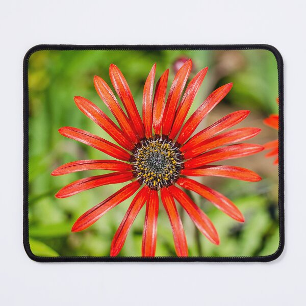 Item preview, Petals Of Red designed and sold by Darren Wilkes.