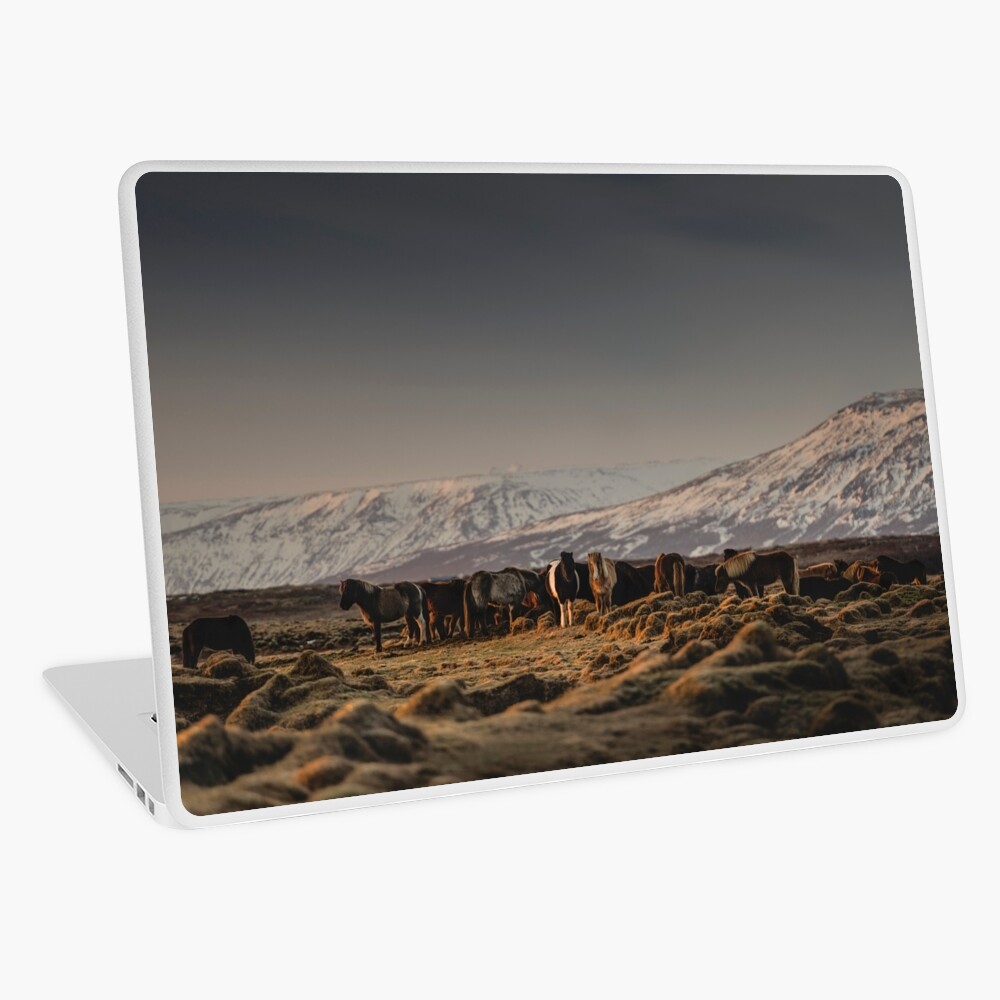 Item preview, Laptop Skin designed and sold by hraunphoto.