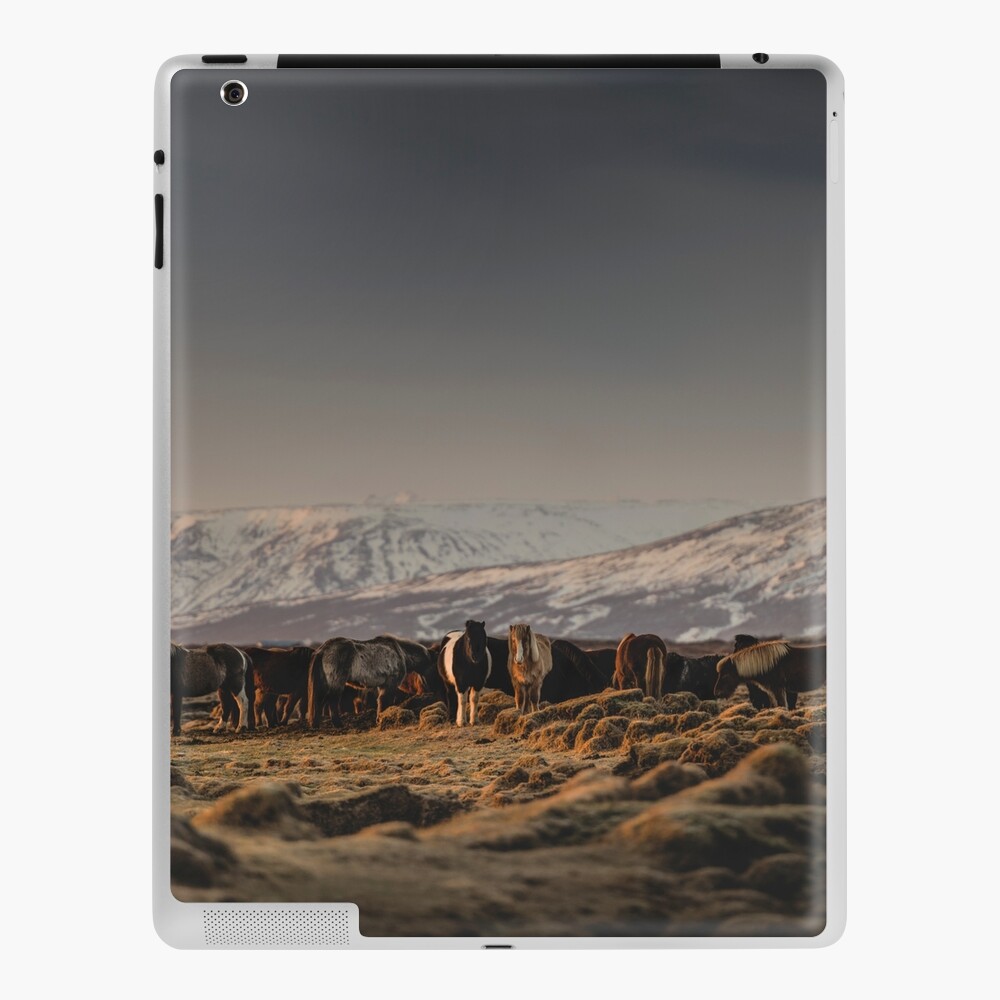 Item preview, iPad Skin designed and sold by hraunphoto.