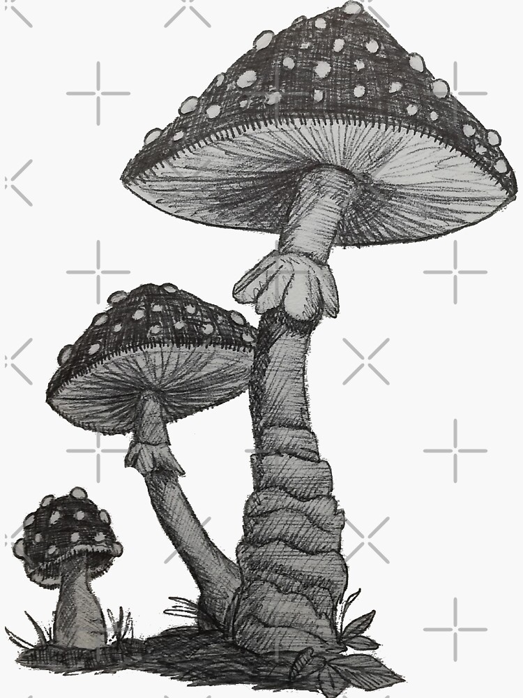 Pen drawing of mushroom | Sticker