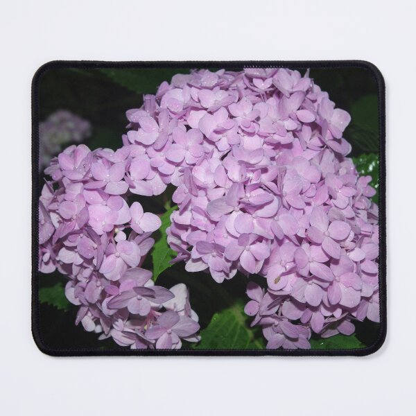Item preview, Lovely Purple designed and sold by Rainy.