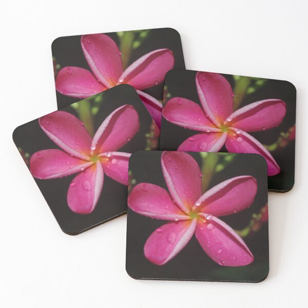Item preview, Frangipani&Drop designed and sold by Rainy.