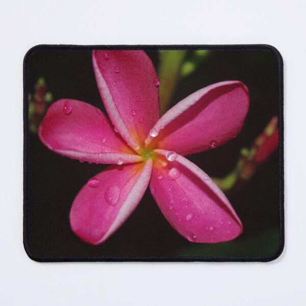 Item preview, Frangipani&Drop designed and sold by Rainy.