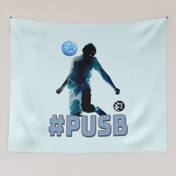 Item preview, #PUSB-1 designed and sold by CovMadeGifts.