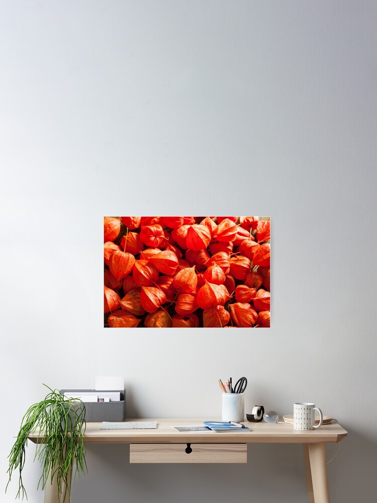 Thumbnail 2 of 3, Poster, physalis designed and sold by SIR13.