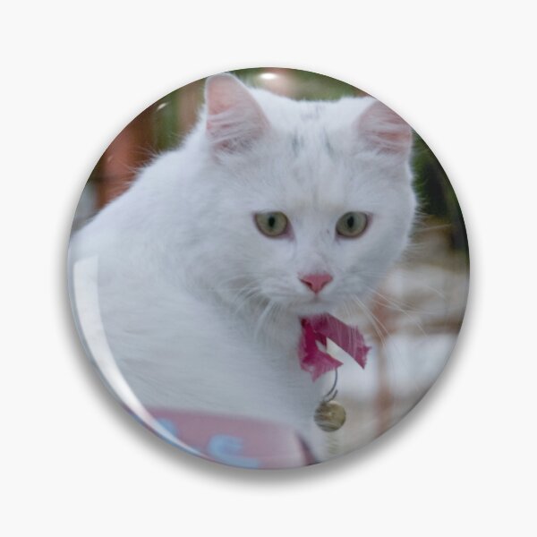 Item preview, Cats of Greece 7 designed and sold by Lidia D'Opera Photographer.