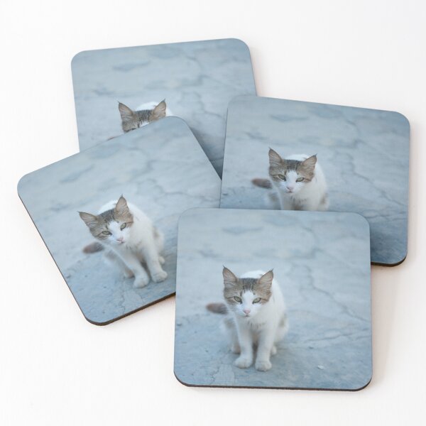Item preview, Cats of Turkey 4 designed and sold by Lidia D'Opera Photographer.