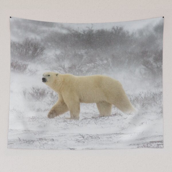 Item preview,  Tapestries,Tapestry,throw blankets,comforters,duvet covers , Polar Bear , animal, animals, Polar Bear wall art, Polar Bear artwork, wild, Polar Bear art designed and sold by eyesight4vision.