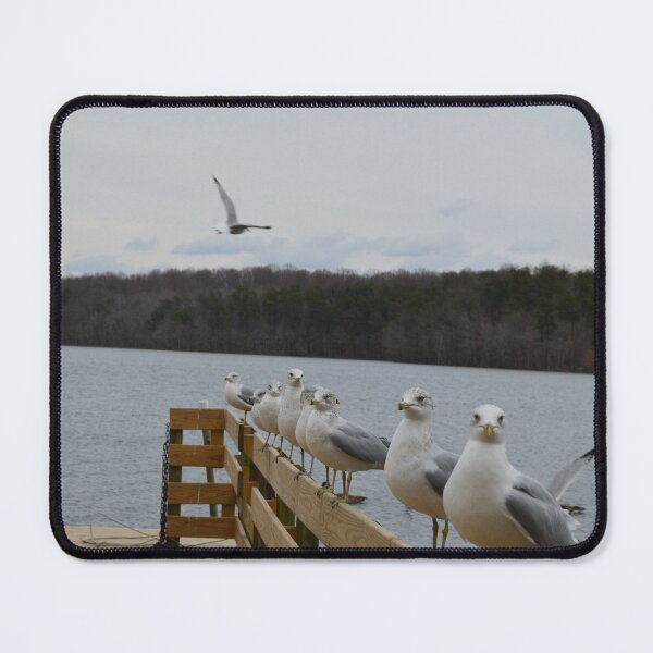 Item preview, Seagulls by the Pier designed and sold by Jessica Hunsinger.