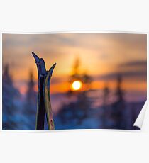 Skis on Sunset Background Poster
