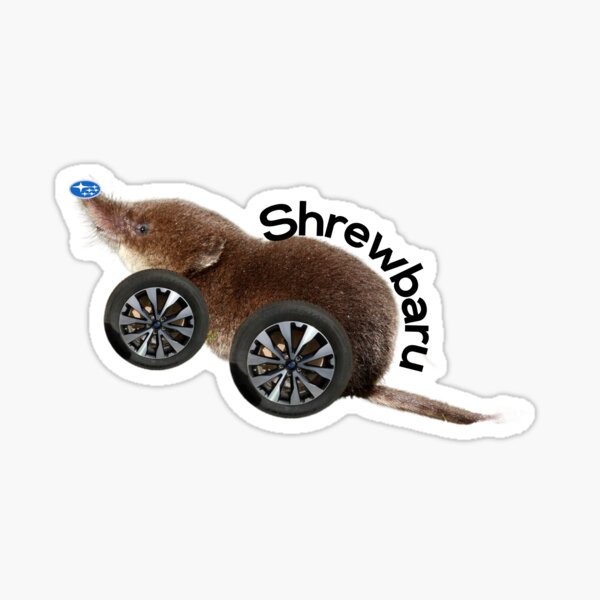 Item preview, Shrewbaru (mammal) designed and sold by thathippiechick.