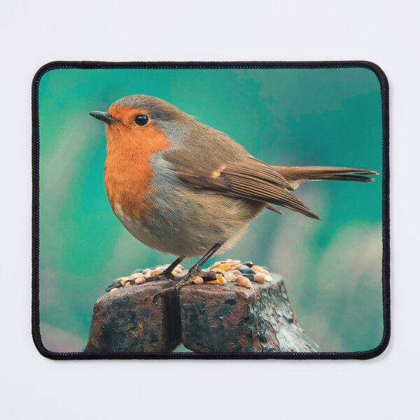 Item preview, Robin Bird Photography Print designed and sold by leonsan.