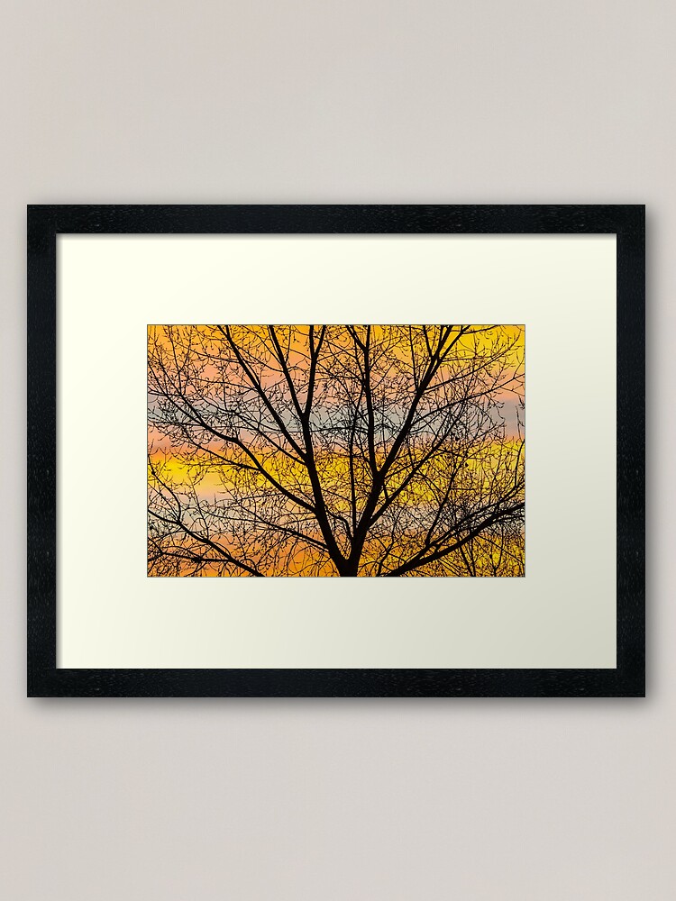 Alternate view of Caged Sunrise Framed Art Print