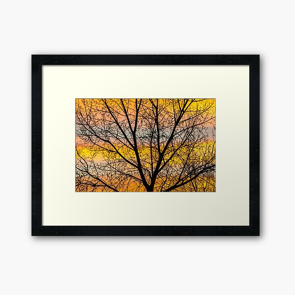 Caged Sunrise Framed Art Print