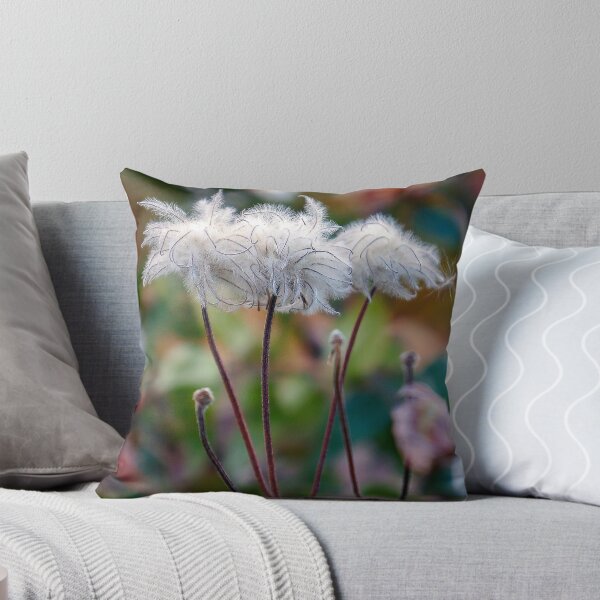 Item preview, View of clematis flower in autumn. designed and sold by Mikhail12358.