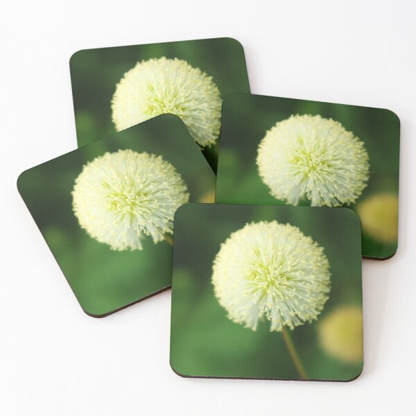 Item preview, Leucaena designed and sold by Rainy.
