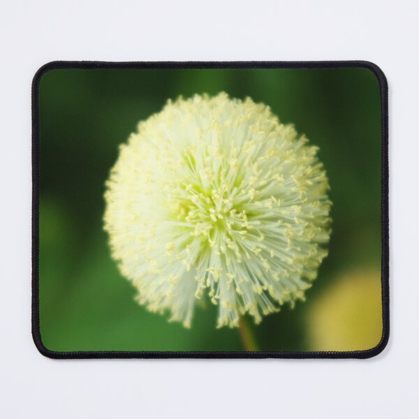 Item preview, Leucaena designed and sold by Rainy.