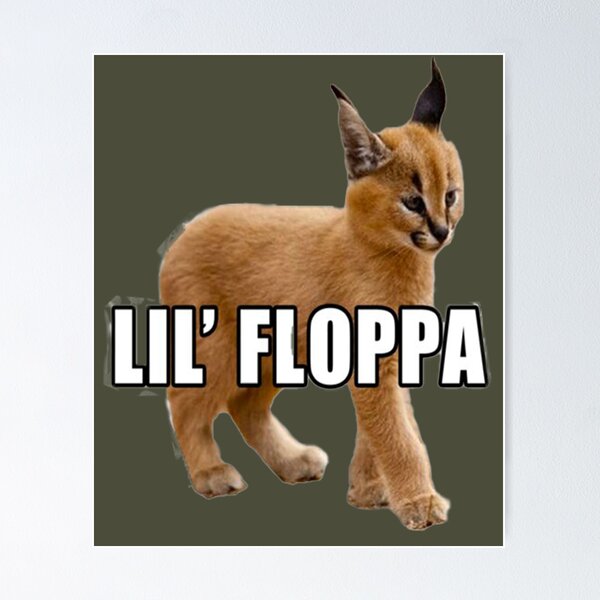 190 Big Floppa ideas in 2023  caracal cat, caracal, cat memes