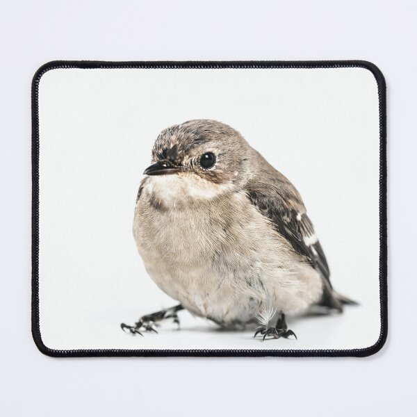 Item preview, Cute Chickadee Bird Photography  designed and sold by leonsan.
