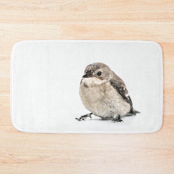 Item preview, Cute Chickadee Bird Photography  designed and sold by leonsan.