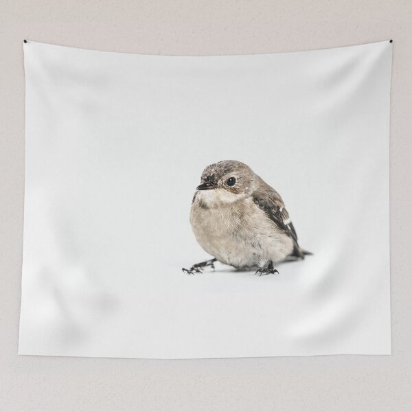 Item preview, Cute Chickadee Bird Photography  designed and sold by leonsan.