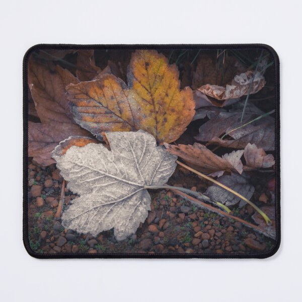 Item preview, Autumn Leaves III designed and sold by rodriguesfhs.