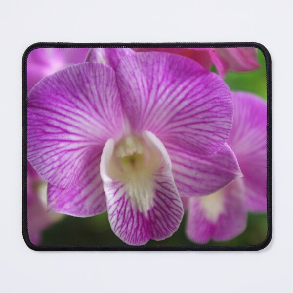 Item preview, Purple Orchid  designed and sold by Rainy.