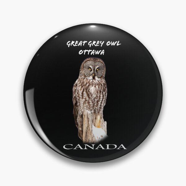 Item preview, Canadian Owl designed and sold by david parry.