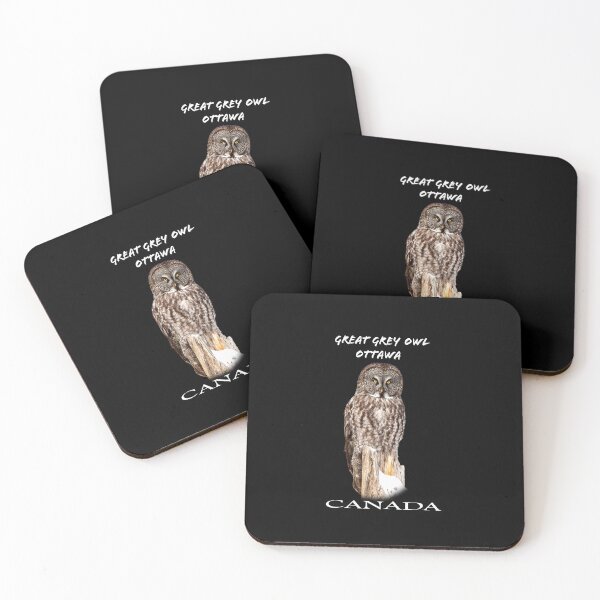 Item preview, Canadian Owl designed and sold by david parry.