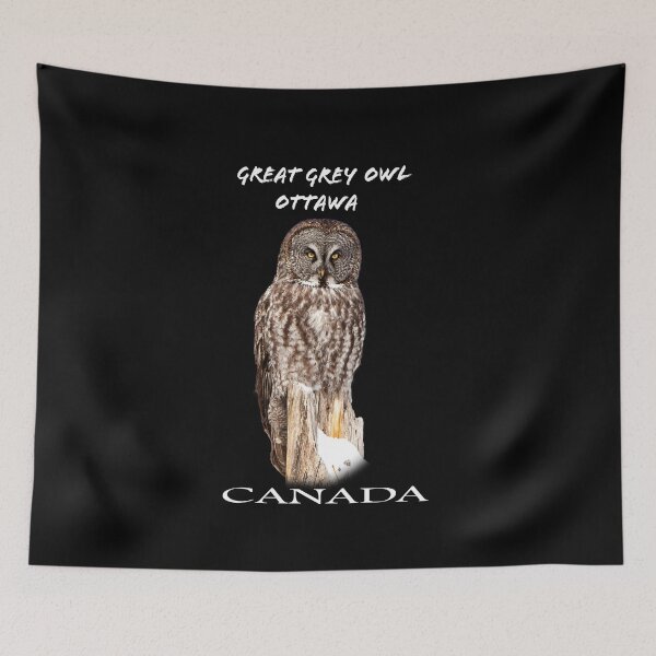 Item preview, Canadian Owl designed and sold by david parry.