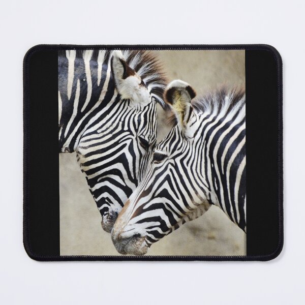 Item preview, Two Zebras Face Each Other, Black and White Stripes designed and sold by ScienceSource.