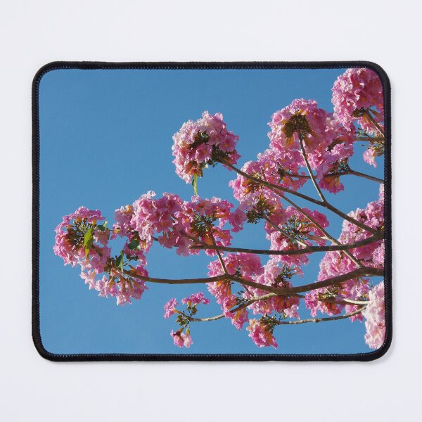 Item preview, Tabebuia Rosea designed and sold by Rainy.