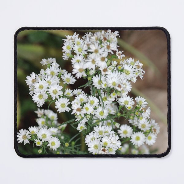 Item preview, Little White designed and sold by Rainy.