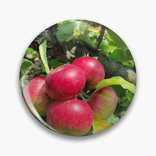 Item preview, apple grape designed and sold by Gourmetkater.