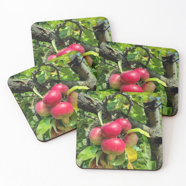 Item preview, apple grape designed and sold by Gourmetkater.