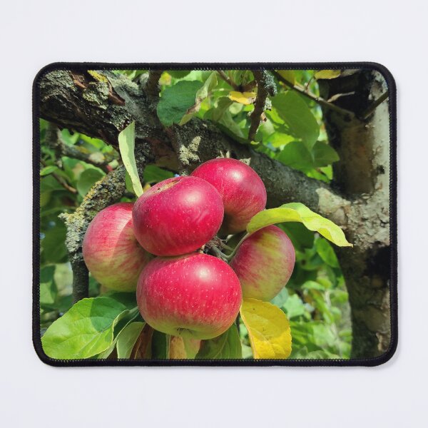 Item preview, apple grape designed and sold by Gourmetkater.