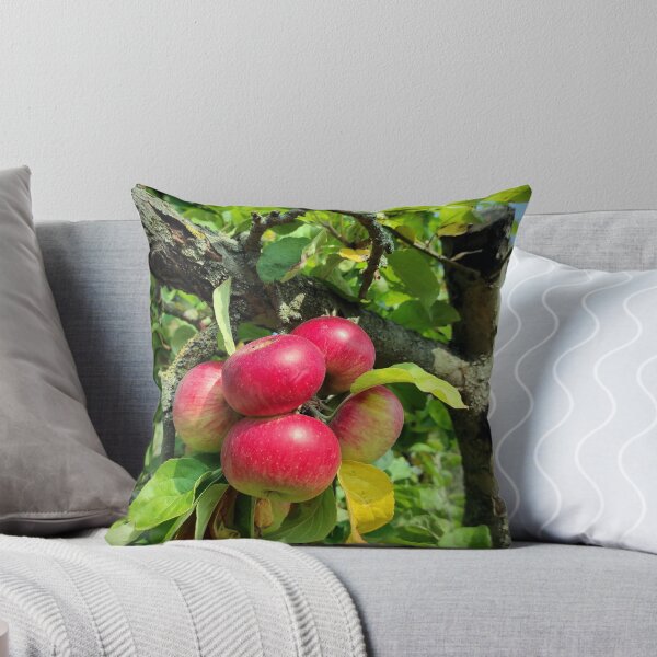 Item preview, apple grape designed and sold by Gourmetkater.